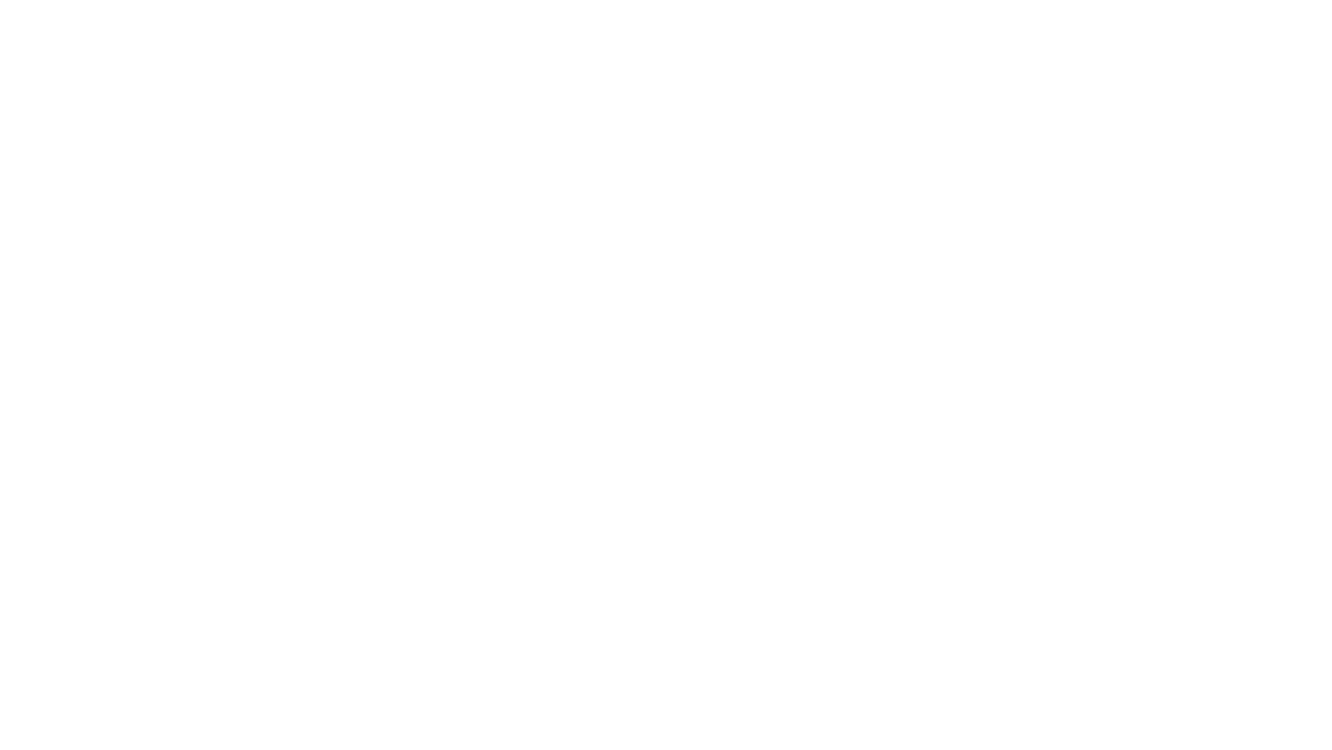 AMIR